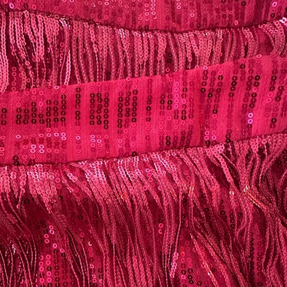 Dolly Parton Style Pink Fringe Skirt - Picture 3 of 4